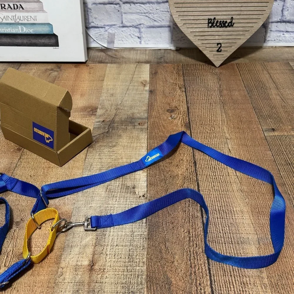 Mearrcgo No Pull Dog Harness with Dog Leash, Easy to Control Walking Harness L